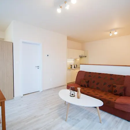 Апартаменты Cozy Studio, Parking & Tatralandia And Jasna Липтовски-Микулаш