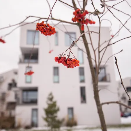 New Cosy Apartment, Close To Tatralandia And Jasna, Parking * Liptovsky Mikulas