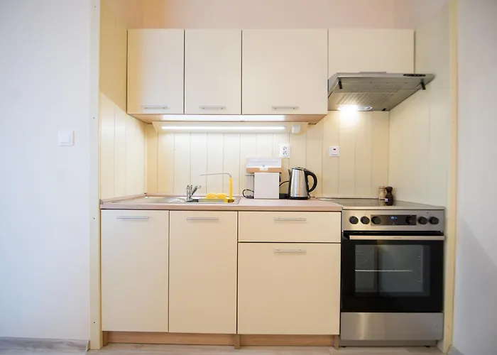 Lejlighed Cozy Studio, Parking & Tatralandia And Jasna